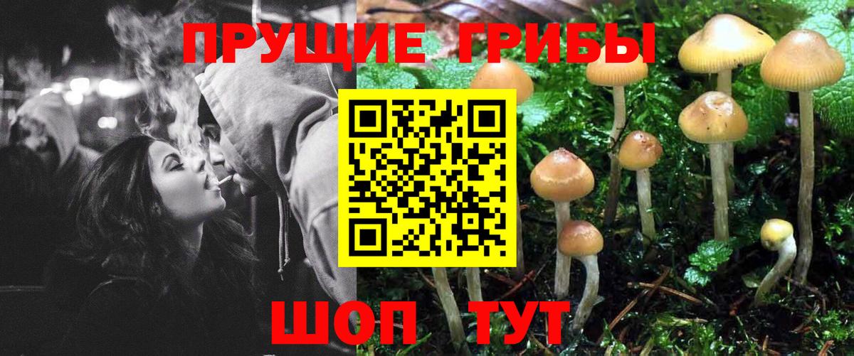 купить   Галлюциногенные грибы Magic Shrooms  Вход с VPN  Удомля 